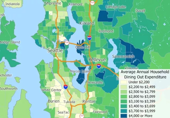 Household expenditure map created with Maptitude CensusViewer alternative