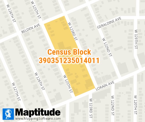 Census Block Summary Level Sample Map