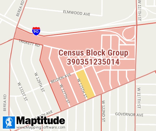 Census Block Group Summary Level Sample Map